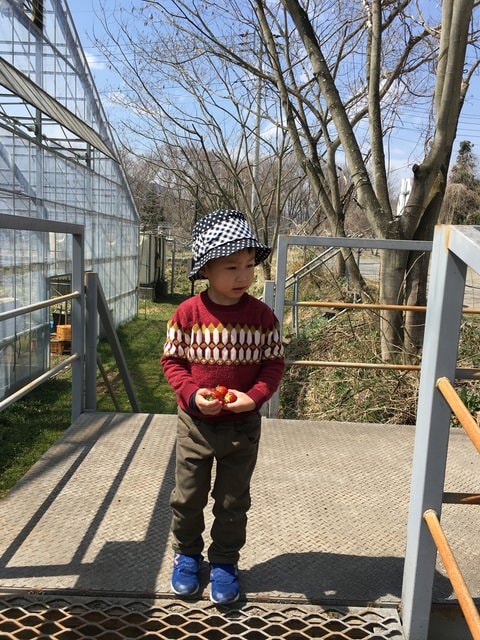 IMG_2711.JPG - 2018.4.4-4.16 日本行