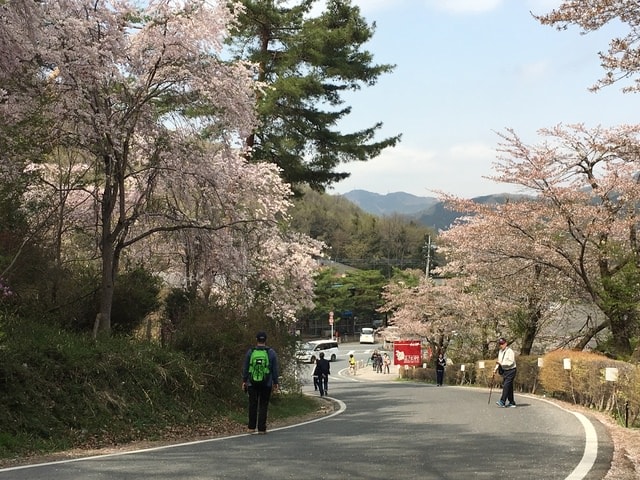 IMG_2435.JPG - 2018.4.4-4.16 日本行
