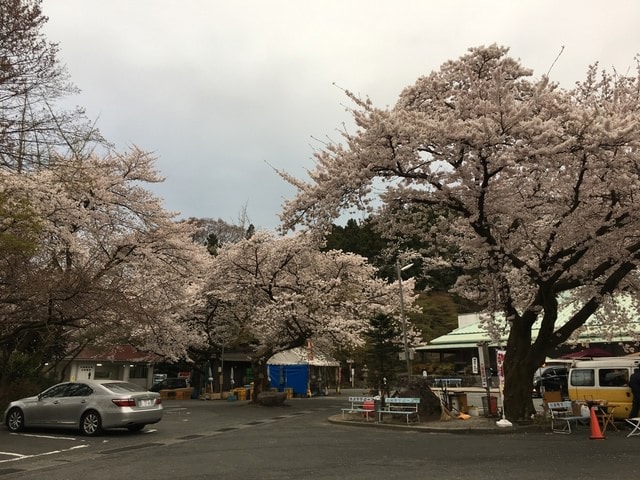 IMG_2547.JPG - 2018.4.4-4.16 日本行