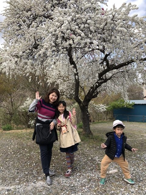 IMG_2604.JPG - 2018.4.4-4.16 日本行