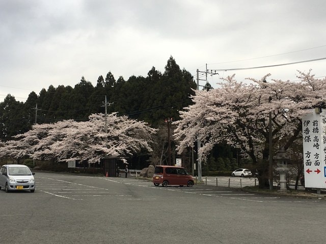 IMG_2476.JPG - 2018.4.4-4.16 日本行