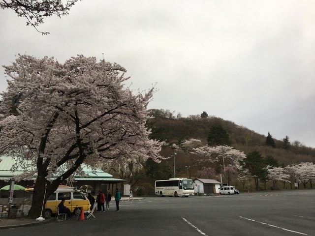 IMG_2513.JPG - 2018.4.4-4.16 日本行