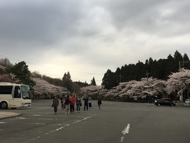 IMG_2484.JPG - 2018.4.4-4.16 日本行