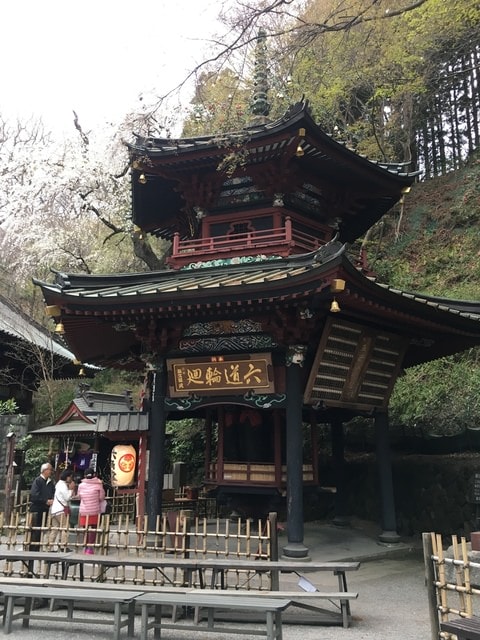 IMG_2492.JPG - 2018.4.4-4.16 日本行