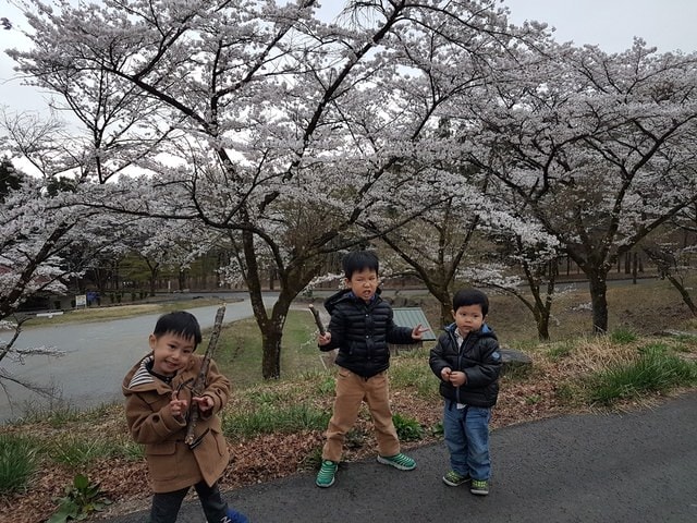 IMG_2625.JPG - 2018.4.4-4.16 日本行