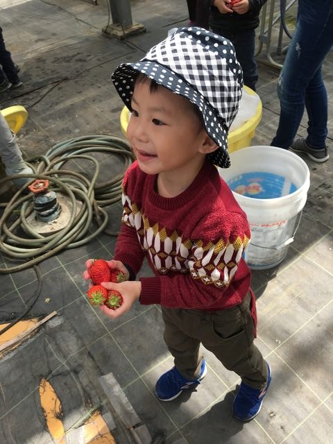 IMG_2710.JPG - 2018.4.4-4.16 日本行