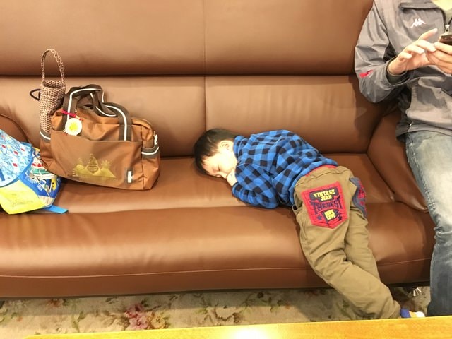 IMG_2819.JPG - 2018.4.4-4.16 日本行
