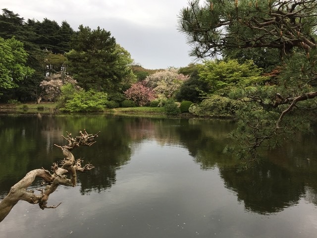 IMG_3087.JPG - 2018.4.4-4.16 日本行