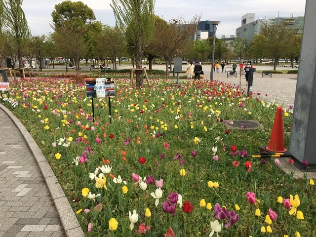 IMG_3153.JPG - 2018.4.4-4.16 日本行