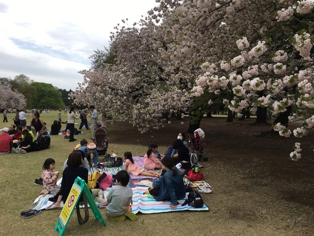 IMG_2980.JPG - 2018.4.4-4.16 日本行