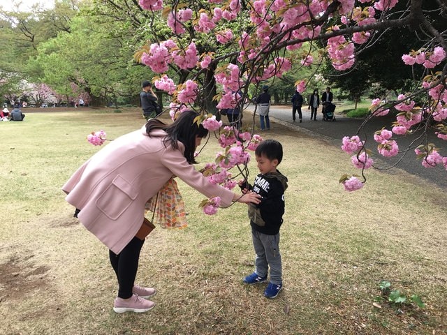 IMG_3045.JPG - 2018.4.4-4.16 日本行