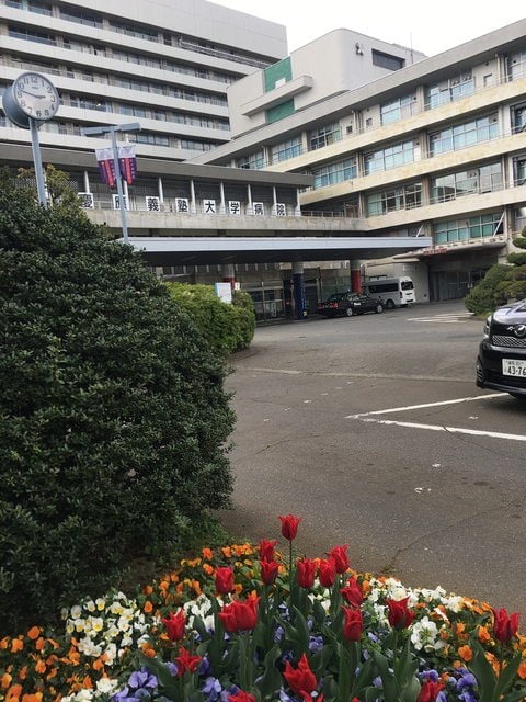 IMG_3197.JPG - 2018.4.4-4.16 日本行