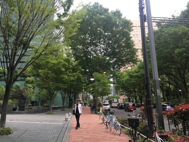 IMG_3407.JPG - 2018.4.4-4.16 日本行