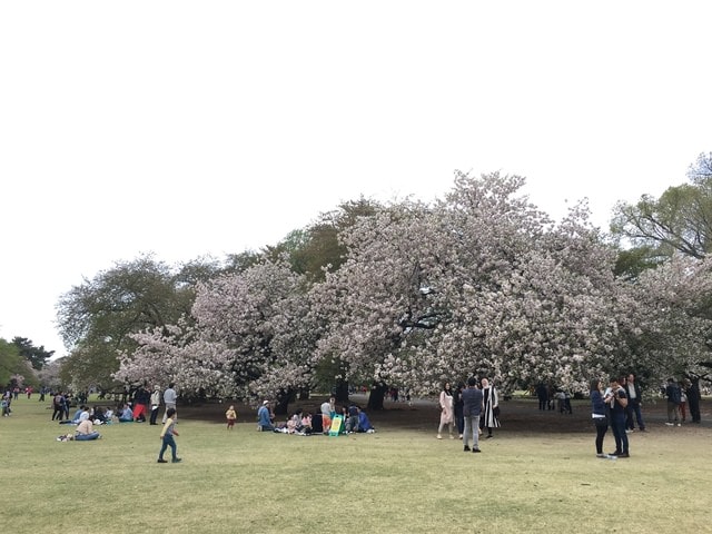IMG_2940.JPG - 2018.4.4-4.16 日本行