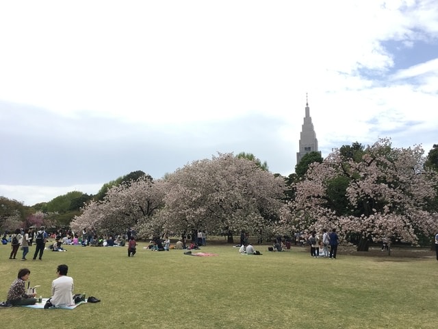 IMG_3007.JPG - 2018.4.4-4.16 日本行