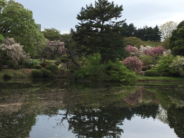 IMG_3068.JPG - 2018.4.4-4.16 日本行
