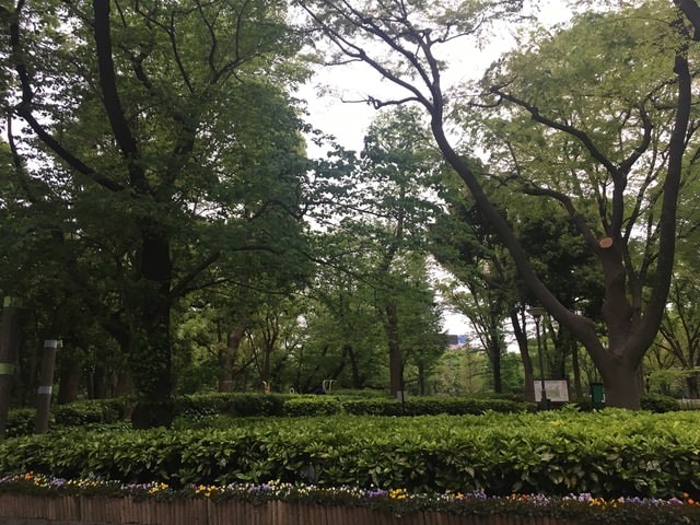 IMG_3411.JPG - 2018.4.4-4.16 日本行
