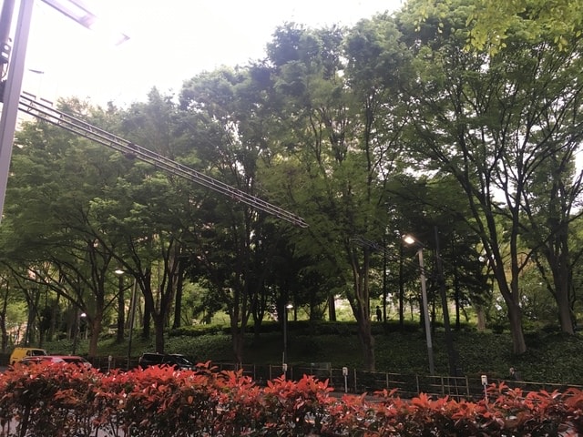 IMG_3406.JPG - 2018.4.4-4.16 日本行