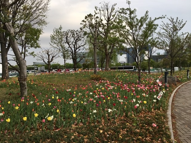 IMG_3172.JPG - 2018.4.4-4.16 日本行