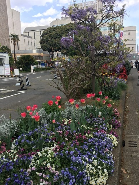 IMG_3202.JPG - 2018.4.4-4.16 日本行