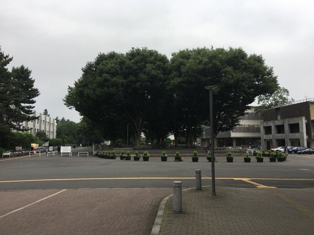 學藝大學照片-3.jpg - 2018.1.1~