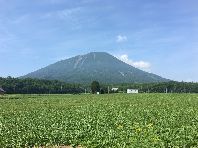 IMG_6157.JPG - 2018夏 日本公務旅遊行 (2018.7.19-28)