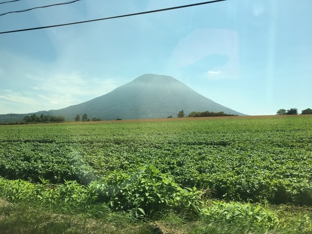 IMG_6440.JPG - 2018夏 日本公務旅遊行 (2018.7.19-28)