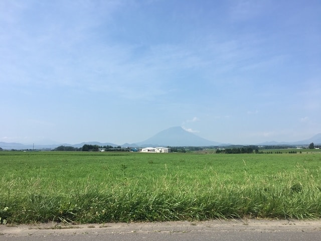 IMG_6127.JPG - 2018夏 日本公務旅遊行 (2018.7.19-28)