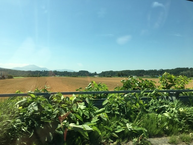 IMG_6435.JPG - 2018夏 日本公務旅遊行 (2018.7.19-28)