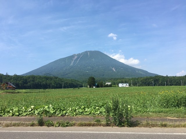 IMG_6145.JPG - 2018夏 日本公務旅遊行 (2018.7.19-28)