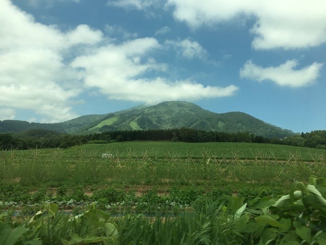 IMG_6351.JPG - 2018夏 日本公務旅遊行 (2018.7.19-28)
