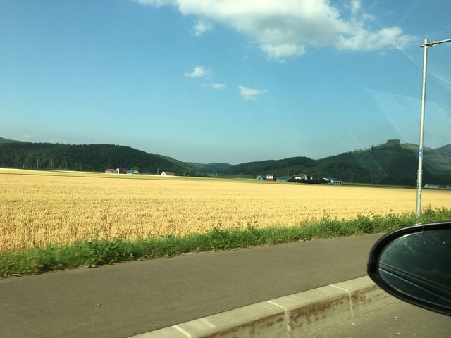 IMG_6864.JPG - 2018夏 日本公務旅遊行 (2018.7.19-28)