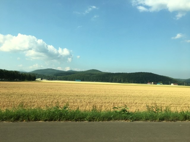 IMG_6863.JPG - 2018夏 日本公務旅遊行 (2018.7.19-28)
