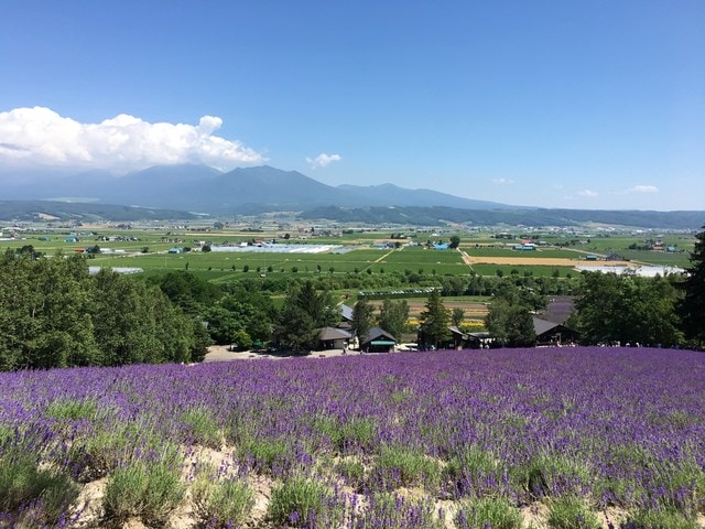 IMG_6673.JPG - 2018夏 日本公務旅遊行 (2018.7.19-28)