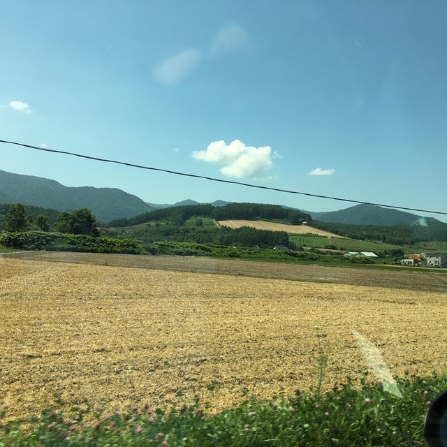 IMG_6651.JPG - 2018夏 日本公務旅遊行 (2018.7.19-28)
