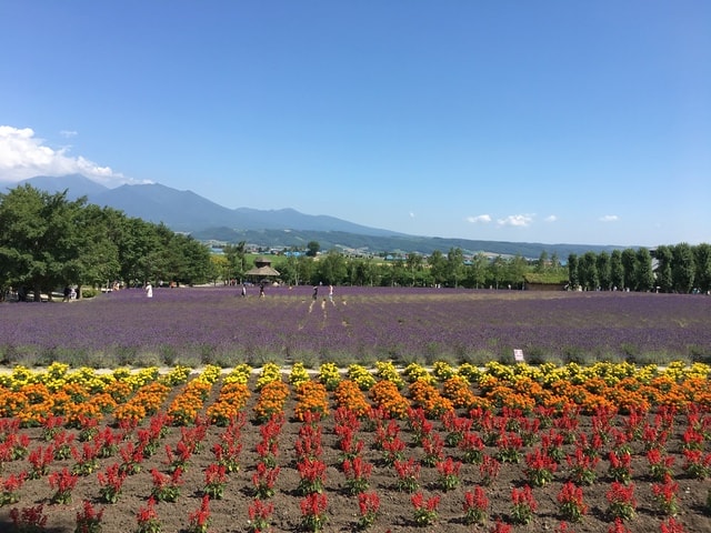 IMG_6786.JPG - 2018夏 日本公務旅遊行 (2018.7.19-28)