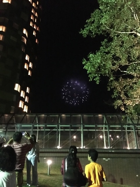 IMG_7044.JPG - 2018夏 日本公務旅遊行 (2018.7.19-28)
