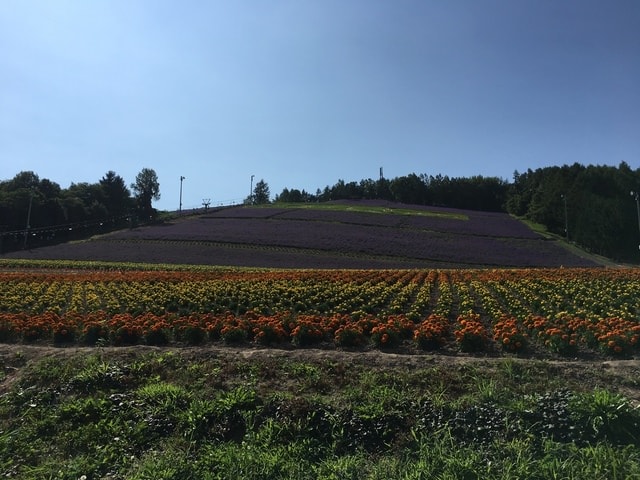 IMG_6828.JPG - 2018夏 日本公務旅遊行 (2018.7.19-28)