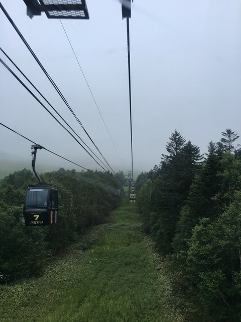 IMG_7111.JPG - 2018夏 日本公務旅遊行 (2018.7.19-28)