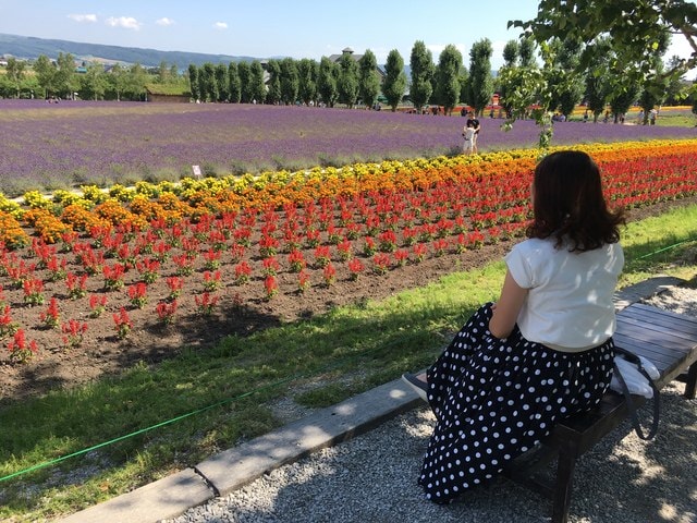 IMG_6784.JPG - 2018夏 日本公務旅遊行 (2018.7.19-28)