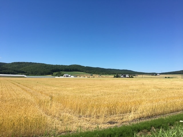 IMG_7290.JPG - 2018夏 日本公務旅遊行 (2018.7.19-28)