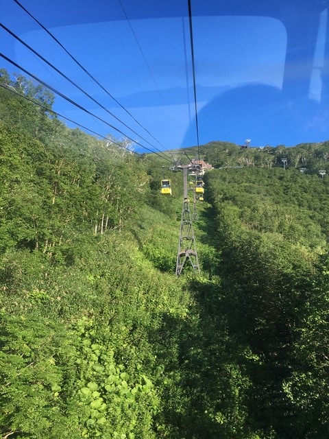IMG_7120.JPG - 2018夏 日本公務旅遊行 (2018.7.19-28)