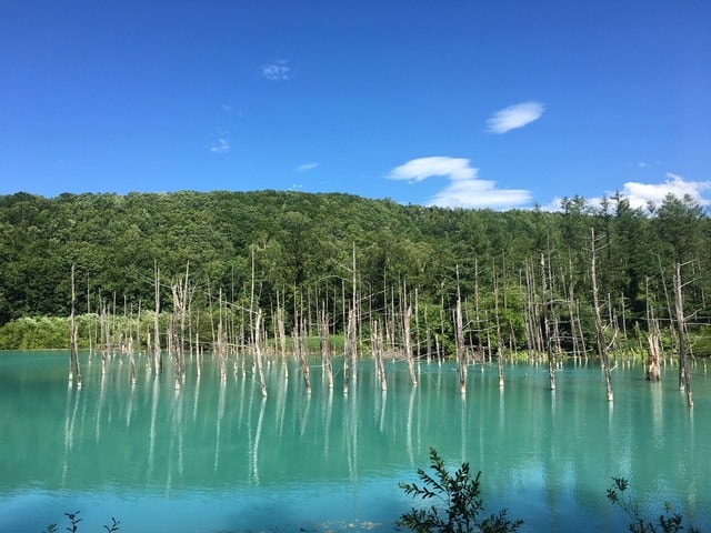 IMG_7338.JPG - 2018夏 日本公務旅遊行 (2018.7.19-28)