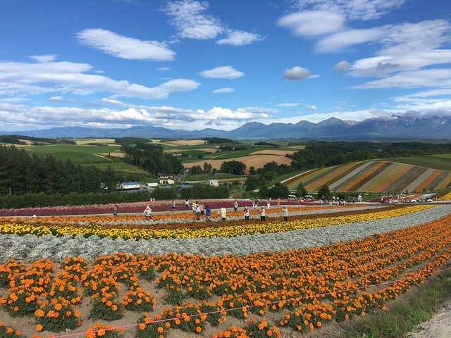 IMG_7456.JPG - 2018夏 日本公務旅遊行 (2018.7.19-28)
