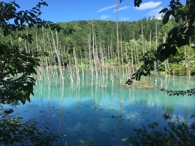 IMG_7321.JPG - 2018夏 日本公務旅遊行 (2018.7.19-28)