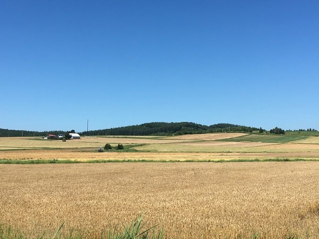 IMG_7305.JPG - 2018夏 日本公務旅遊行 (2018.7.19-28)