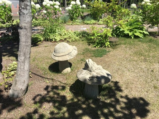 IMG_7679.JPG - 2018夏 日本公務旅遊行 (2018.7.19-28)