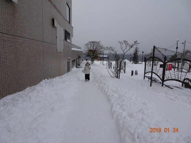 IMG_0167.JPG - 2019年冬季北海道公務旅遊(2019.1.21-31)