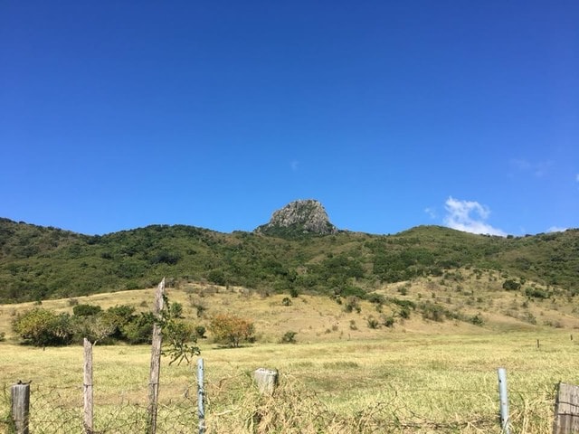 photo-22.jpg - 2018.1.1~