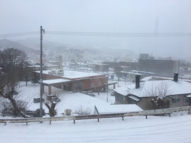 IMG_9753.JPG - 2019年冬季北海道公務旅遊(2019.1.21-31)